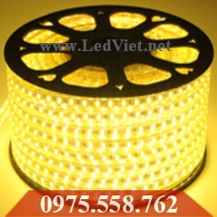 LED Dây 5050 Cao Cấp Vàng