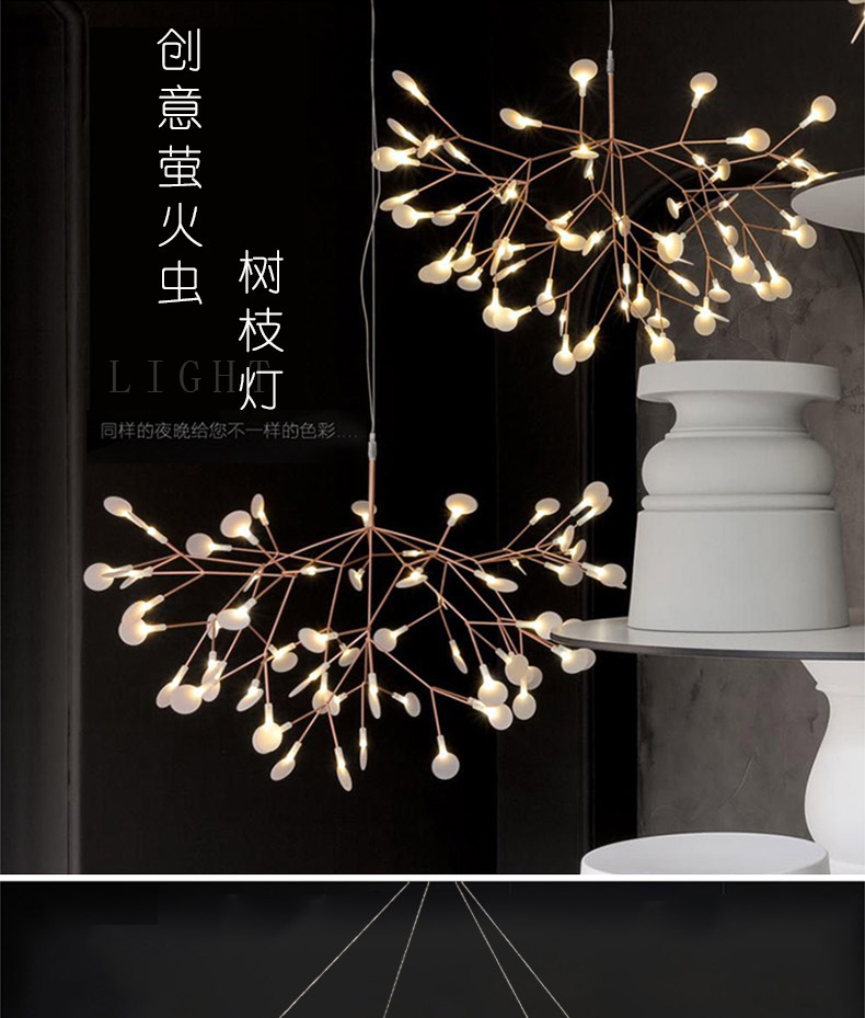 không xác định