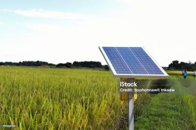 Bảo trì và Vệ sinh Đèn Năng Lượng Mặt Trời: Cách Giữ Cho Hệ Thống Chiếu Sáng Hoạt Động Hiệu Quả