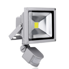 Giá bán Đèn pha LED cảm ứng chống trộm Rinos RNPA620 20W (Xám)